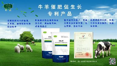 mmexport1551835987991.jpg