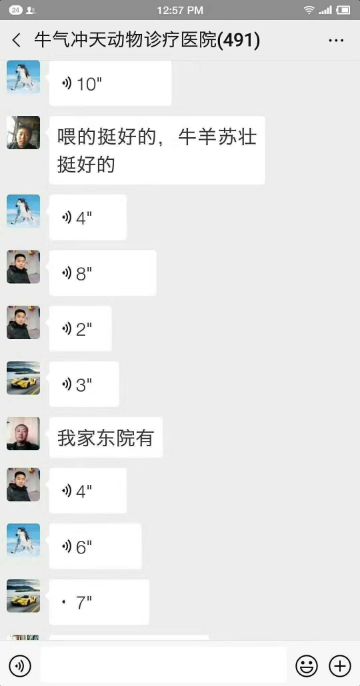 mmexport1553841720626.jpg
