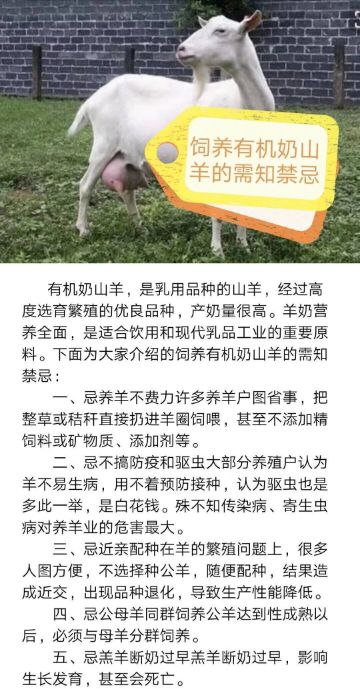Screenshot_20190701_171005.jpg