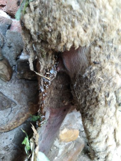 JPEG_20190709_163137_.jpg