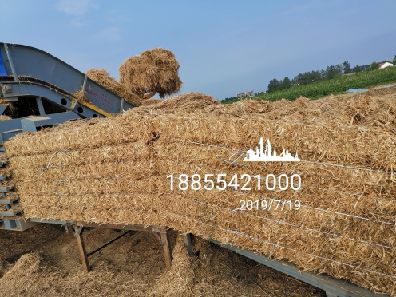 IMG_20190719_172151.jpg