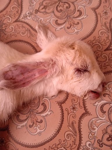 IMG20190726105717.jpg