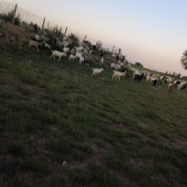 IMG_20190815_183457.jpg