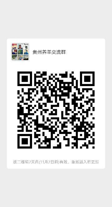 mmqrcode1572489630466.png
