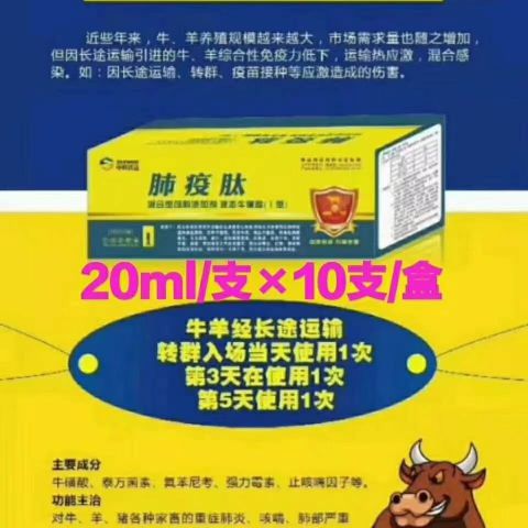 mmexport1617365794898.jpg