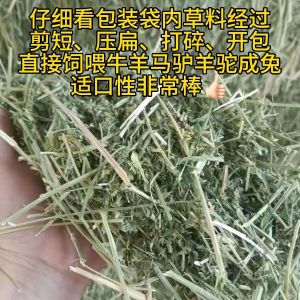 IMG_20241017_213900.jpg